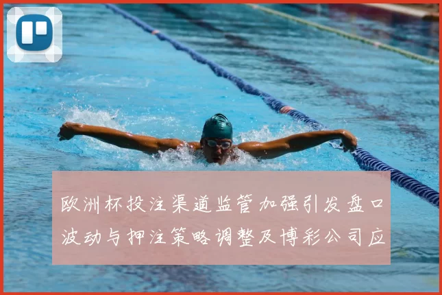 欧洲杯投注渠道监管加强引发盘口波动与押注策略调整及博彩公司应对