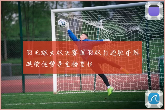 羽毛球女双决赛国羽双打连胜夺冠延续优势争金榜首位