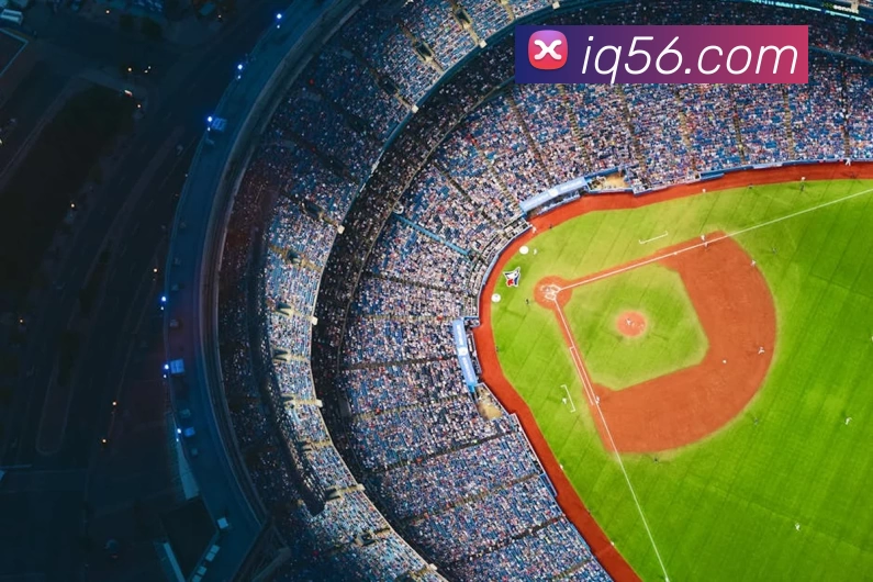 三亿体育真正官网 - 三亿体育(中国)官方网站服务体系