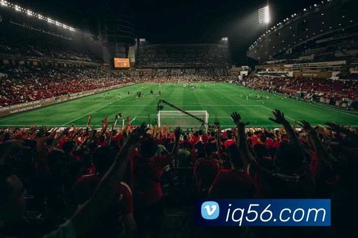 多媒体互动体验